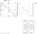 Fig. 09 - Image processing apparatus, image processing method, electronic equipment and program