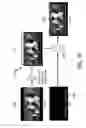 Fig. 09 - Method and apparatus for combining 3D image and graphical data