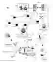 Fig. 01 - Apparatus and method for tagging media content and managing marketing