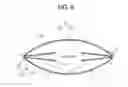Fig. 07 - FRUIT ENVELOPE HAVING OPENING PART AND METHOD OF MANUFACTURING THE ENVELOPE