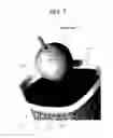 Fig. 08 - FRUIT ENVELOPE HAVING OPENING PART AND METHOD OF MANUFACTURING THE ENVELOPE