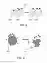Fig. 08 - COMPOSITE ABSORBENT PARTICLES
