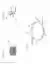 Fig. 07 - METHOD OF PREPARING BLASTOCYSTS FOR CRYOPRESERVATION