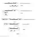 Fig. 02 - Recombinant microorganism expressing avermectin analogue and use thereof