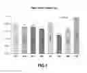 Fig. 02 - BIOLOGICAL FORMULATION FOR COMPLEMENTING AN ANIMAL FEED, PROCESS FOR OBTAINING A BIOLOGICAL FORMULATION FOR AN ANIMAL FEED AND AN ANIMAL FEED