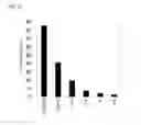 Fig. 03 - Method for manufacturing aloe extract, and aloe extract
