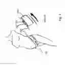 Fig. 02 - INTEGRATED SUPPORTIVE DEVICE IN GARMENTS