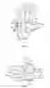 Fig. 05 - Muscle glove