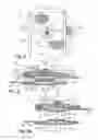 Fig. 04 - Article of clothing having magnetic fastening assemblies
