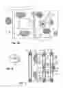 Fig. 05 - Article of clothing having magnetic fastening assemblies