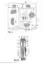 Fig. 06 - Article of clothing having magnetic fastening assemblies
