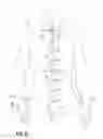 Fig. 07 - Article of clothing having magnetic fastening assemblies