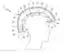 Fig. 01 - Protective helmet