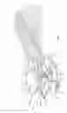 Fig. 02 - Hair styling device