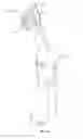 Fig. 02 - Toddler toothbrush assembly and methods