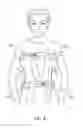 Fig. 03 - Baby carrier