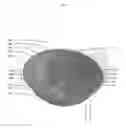Fig. 08 - Disposable Divided Bowls
