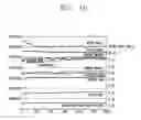 Fig. 15 - APPARATUS AND METHOD FOR MEASURING HEARTBEAT/STRESS IN MOBILE TERMINAL