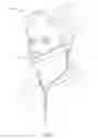 Fig. 02 - RESPIRATORY SAMPLING WITH SUPPORT STRUCTURE