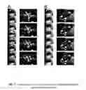 Fig. 07 - Systems and methods for detecting blink inhibition as a marker of engagement and perceived stimulus salience