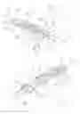 Fig. 02 - Microperfusion needle or fistula needle with protective element