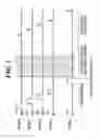 Fig. 04 - Radiographic image capturing device and radiographic image capturing system