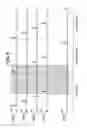 Fig. 09 - Radiographic image capturing device and radiographic image capturing system