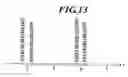 Fig. 13 - Radiographic image capturing device and radiographic image capturing system