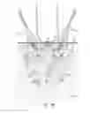 Fig. 03 - Dual modality imaging system for coregistered functional and anatomical mapping