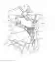 Fig. 01 - Surgical adaptor and method