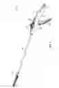 Fig. 02 - SURGICAL TOOL