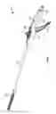 Fig. 02 - Surgical tool