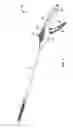 Fig. 02 - Surgical tool