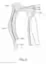 Fig. 69 - SYSTEMS AND METHODS FOR PROVIDING A FEMORAL RESECTION BLOCK