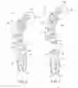 Fig. 05 - Non-Invasive Head Stabilization System