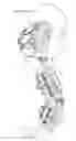 Fig. 01 - Orthopedic brace for animals