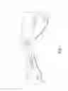 Fig. 02 - Orthopedic brace for animals