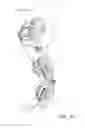 Fig. 06 - Orthopedic brace for animals