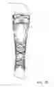 Fig. 07 - Orthopedic brace for animals
