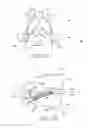 Fig. 23 - Devices and methods for transpedicular stabilization of the spine