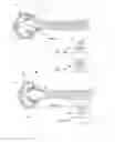 Fig. 16 - Device and method for endoluminal therapy