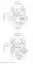Fig. 11 - Method for producing absorbent article