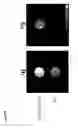 Fig. 09 - Engineered fluorinated biomaterials