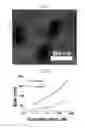 Fig. 03 - WATER-DISPERSIBLE AMORPHOUS PARTICLES AND METHOD FOR PREPARING SAME