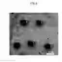 Fig. 07 - WATER-DISPERSIBLE AMORPHOUS PARTICLES AND METHOD FOR PREPARING SAME