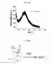 Fig. 15 - WATER-DISPERSIBLE AMORPHOUS PARTICLES AND METHOD FOR PREPARING SAME