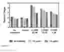 Fig. 11 - Cannabinoid receptor treatments