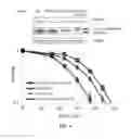 Fig. 05 - METHODS OF TREATING CANCER USING RAD51 SMALL MOLECULE STIMULATORS