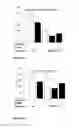 Fig. 40 - SARMs and method of use thereof