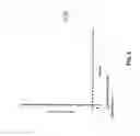 Fig. 07 - METHOD FOR INHIBITING TUMOR METASTASIS